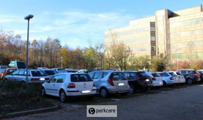 Fly Away Service Stuttgart foto 5